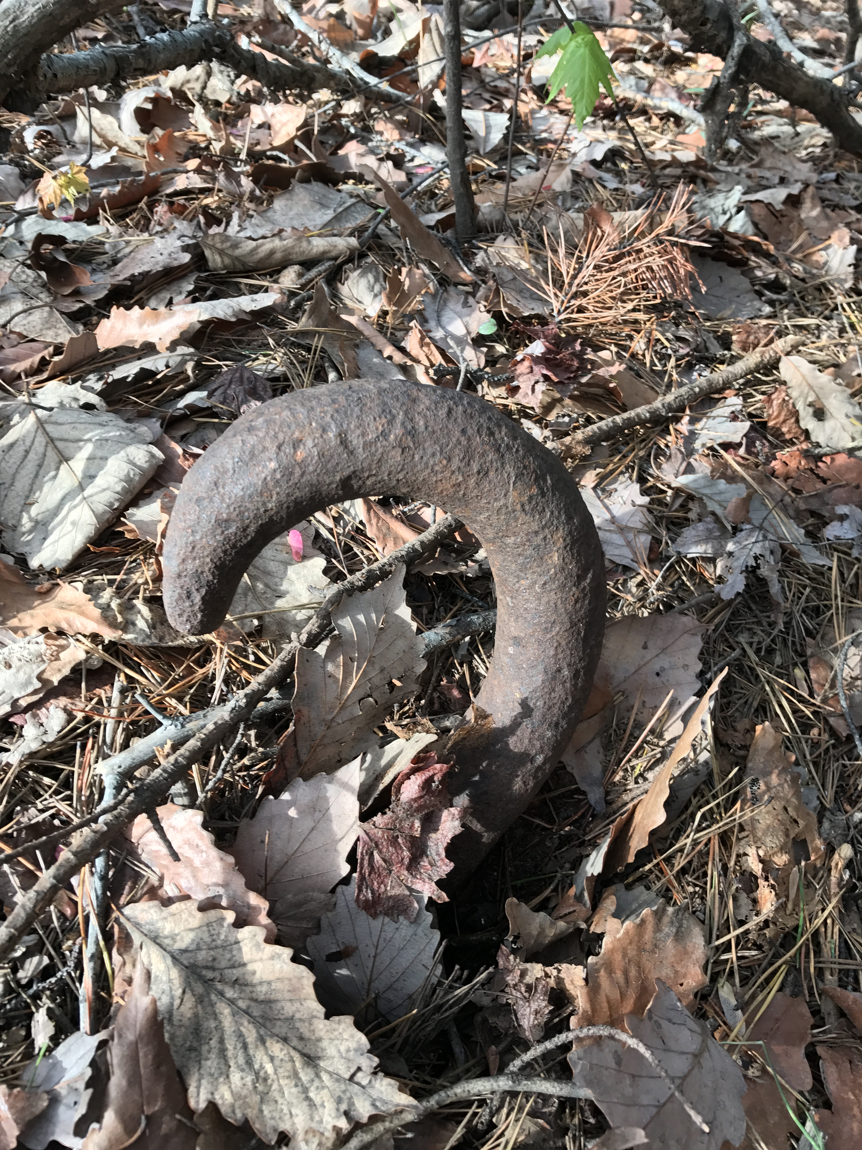 20170408_132441563_iOS