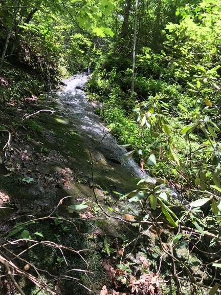 Tributary of Cantrell Creek (7)