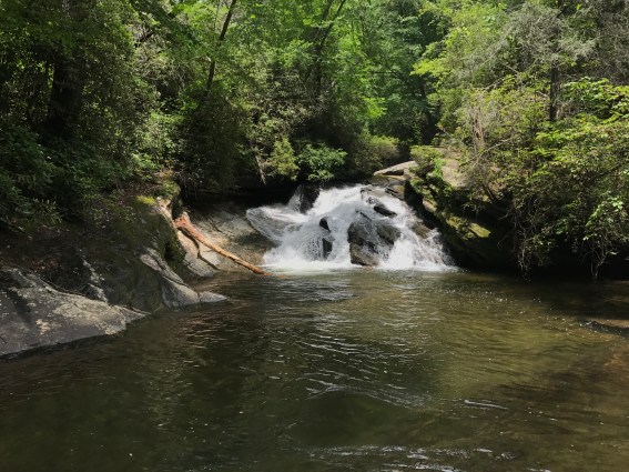 20170611_174519336_iOS