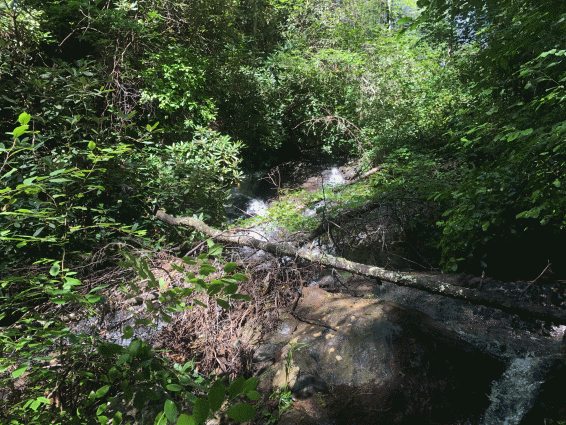 top-of-second-waterfall