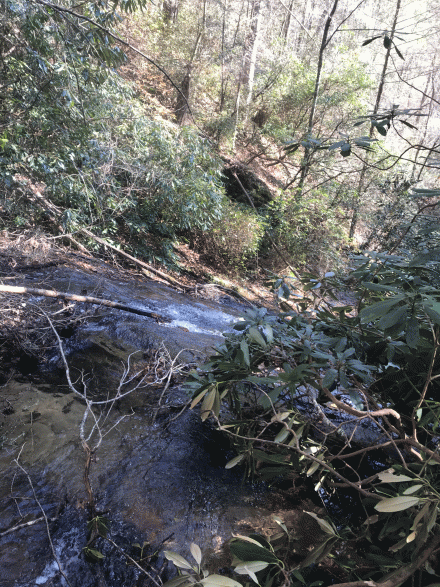 20171201_172034876_iOS