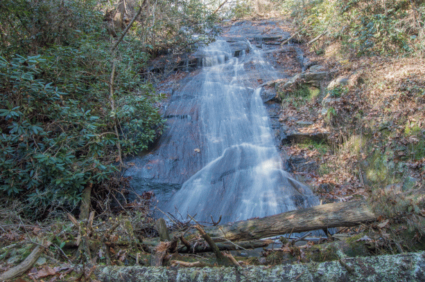 C-_Users_Renee_Desktop_Photos-to-Edit_DSC_0262