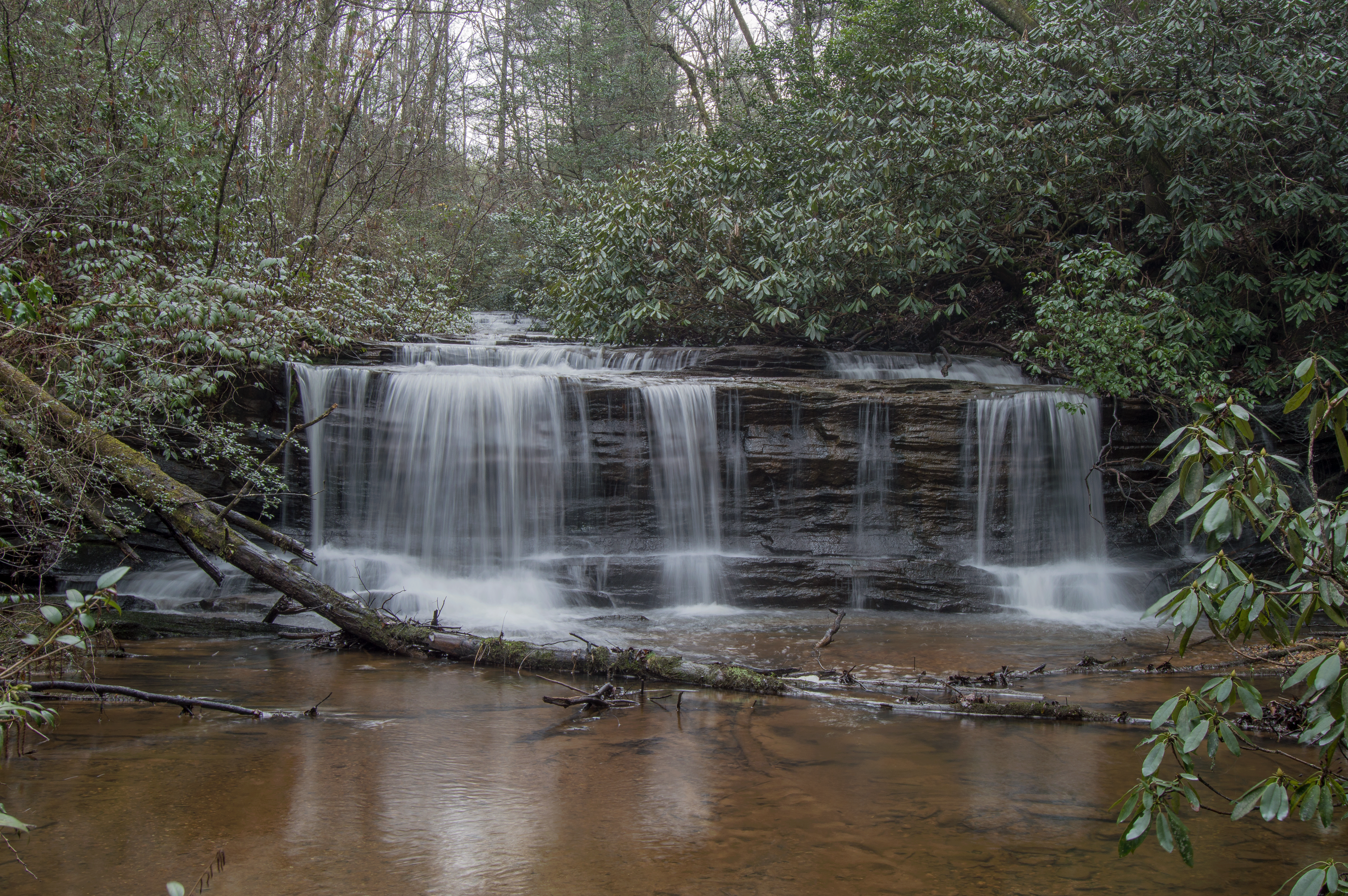 C-_Users_Renee_Desktop_Photos-to-Edit_DSC_0711