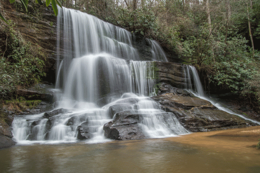 C-_Users_Renee_Desktop_Photos-to-Edit_DSC_0783