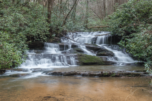 C-_Users_Renee_Desktop_Photos-to-Edit_DSC_0787