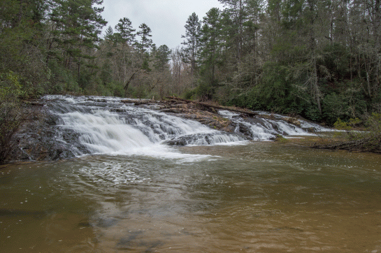 C-_Users_Renee_Desktop_Photos-to-Edit_DSC_0814