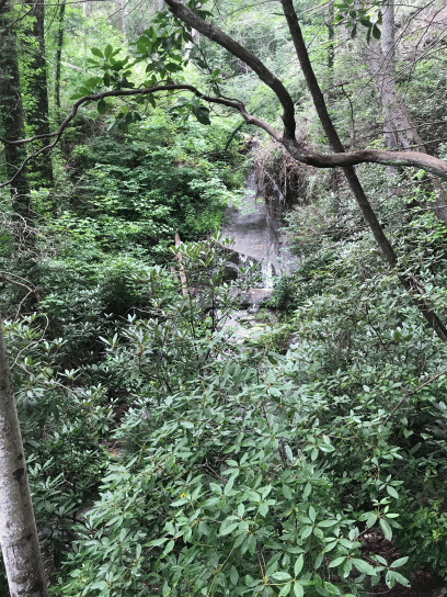 20180714_174119198_iOS