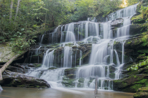 C-_Users_Renee_Desktop_Photos-to-Edit_DSC_2433