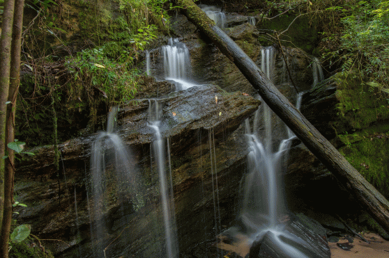 C-_Users_Renee_Desktop_Photos-to-Edit_DSC_2470