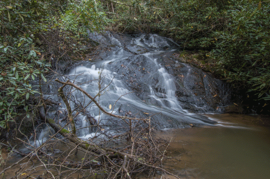 C-_Users_Renee_Desktop_Photos-to-Edit_DSC_2490