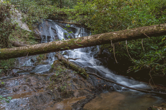 C-_Users_Renee_Desktop_Photos-to-Edit_DSC_2492