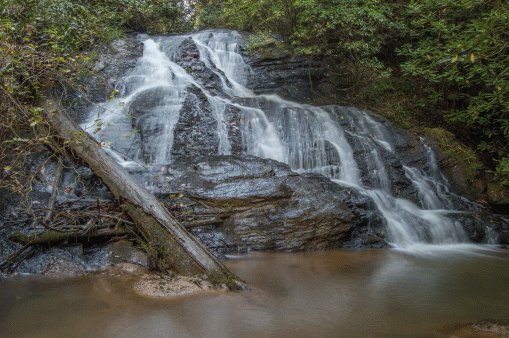 C-_Users_Renee_Desktop_Photos-to-Edit_DSC_2504