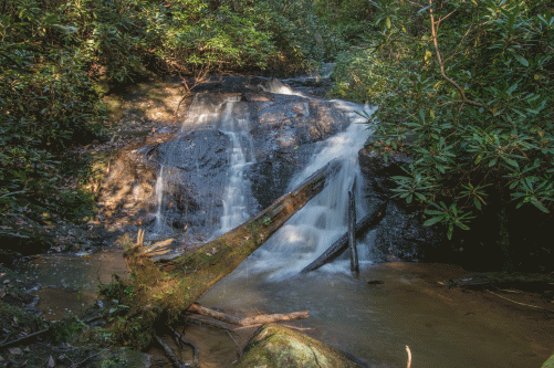 C-_Users_Renee_Desktop_Photos-to-Edit_DSC_2513