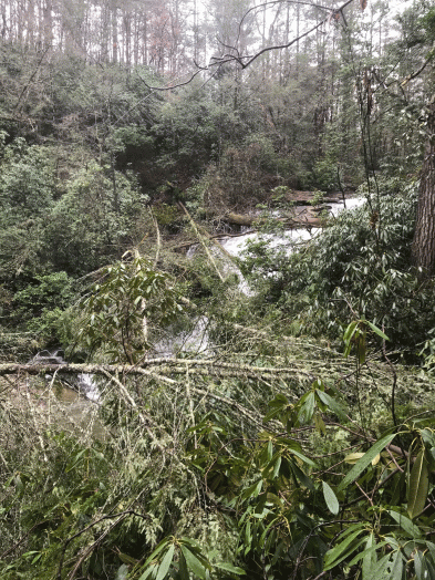 20181215_181019798_iOS