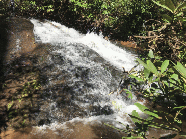 20190323_152558811_iOS