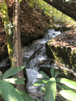 20190323_165746671_iOS