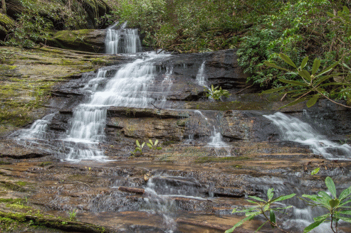 C-_Users_Renee_Desktop_Photos-to-Edit_DSC_0283