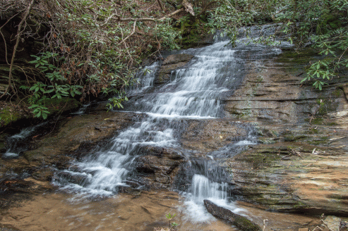 C-_Users_Renee_Desktop_Photos-to-Edit_DSC_0309