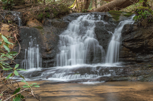 C-_Users_Renee_Desktop_Photos-to-Edit_DSC_0318