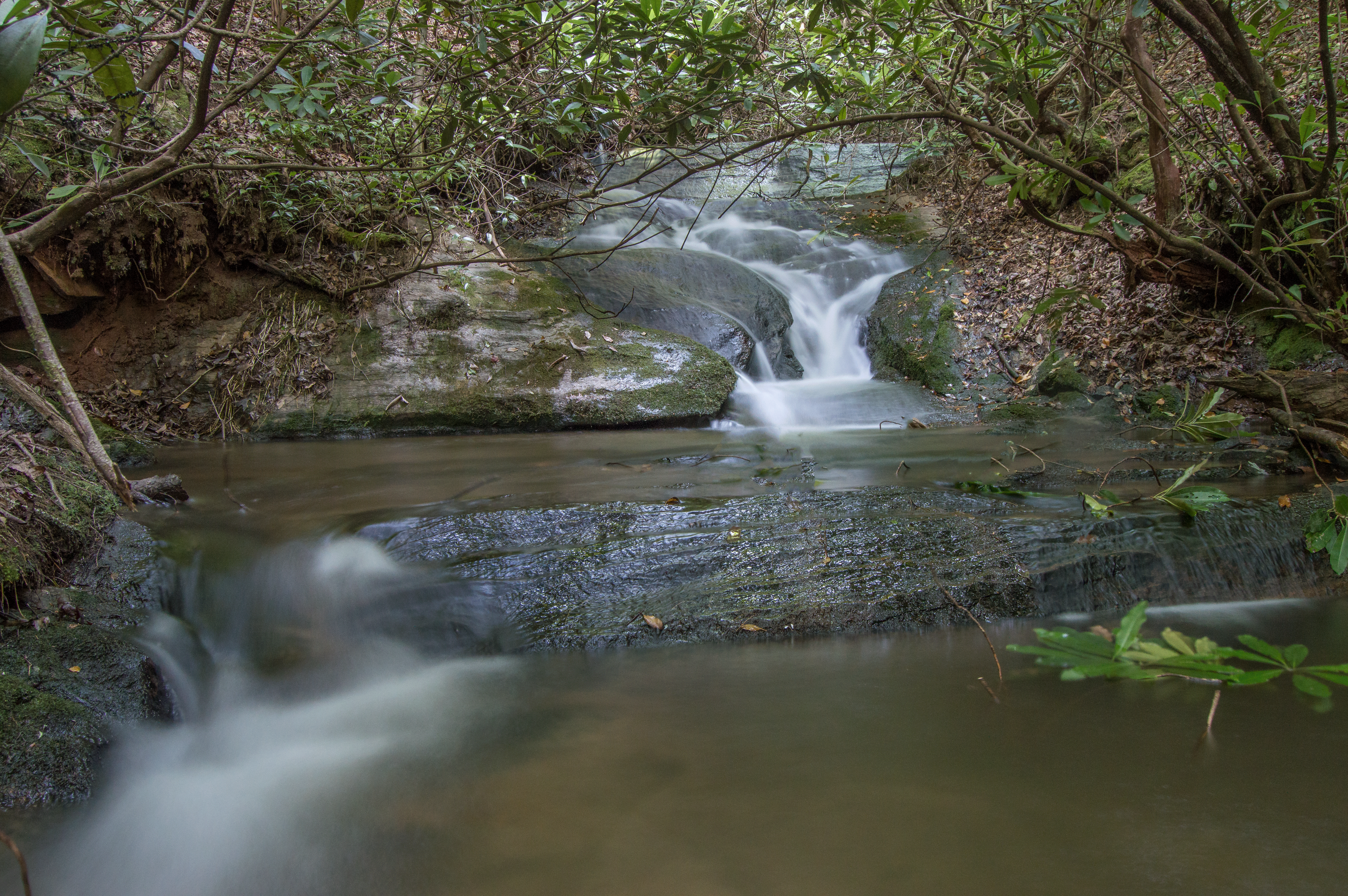 C-_Users_Renee_Desktop_Photos-to-Edit_DSC_0012