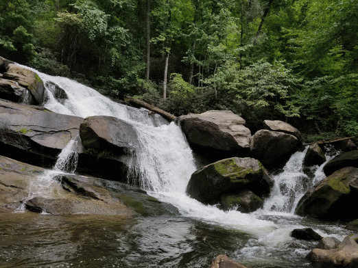 20190809_174146330_iOS